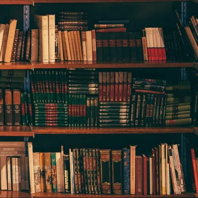 專利訴訟翻譯服務