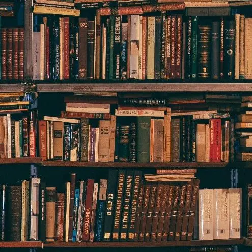 專利訴訟翻譯服務